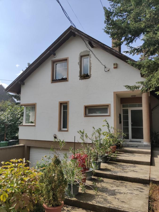 Dali Apartment Szentendre Exteriör bild